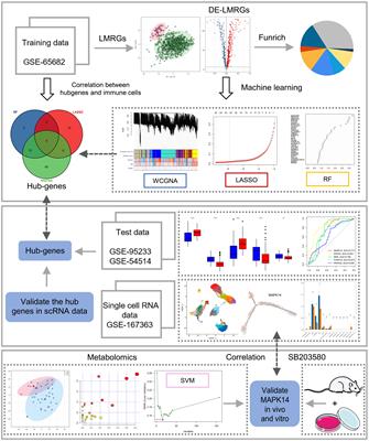 Integrative single-cell RNA sequencing and metabolomics decipher the imbalanced lipid-metabolism in maladaptive immune responses during sepsis